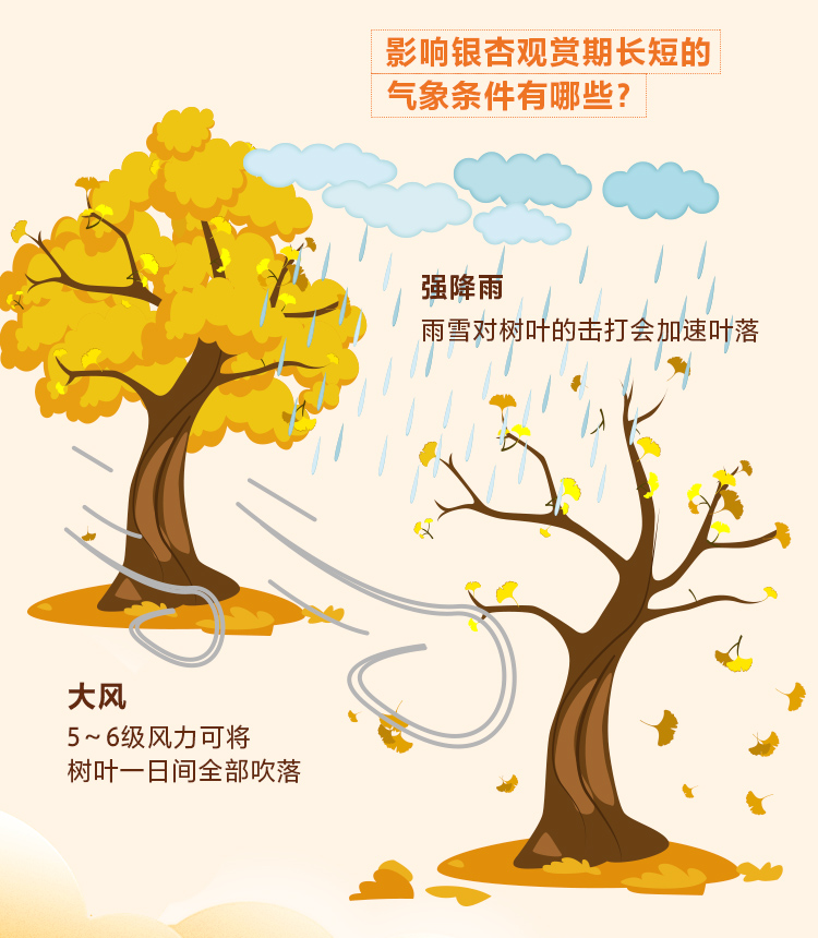 图解：2020北京赏秋指南来了！