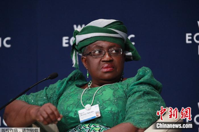 WTO拟推荐尼日利亚候选人任总干事 美方缘何反对？