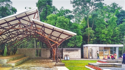 注重实用美观环保（乡村振兴艺术何为？）