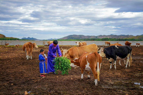 游牧民族不牧而富 元气森林捐农机暖人心