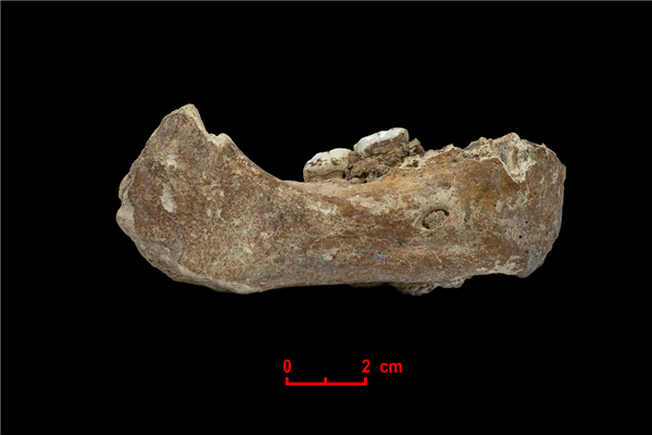 “考古中国”最新进展!青藏高原两项重要考古成果发布