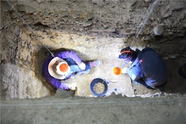 “考古中国”最新进展!青藏高原两项重要考古成果发布