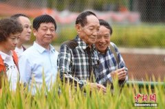 双季稻亩产3000斤实现！中国人的饭碗端得更牢了