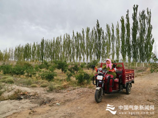 丹山黑水丝路小城果蔬香