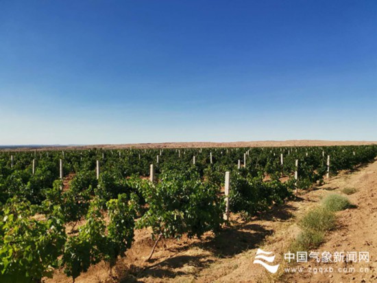 丹山黑水丝路小城果蔬香