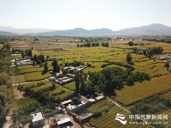 丹山黑水丝路小城果蔬香