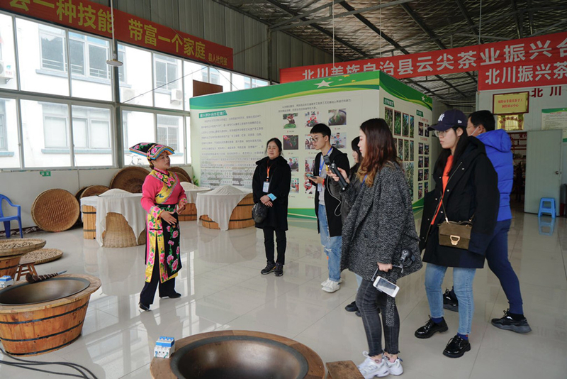 北川唐家山村：羌族古茶背后的致富密码