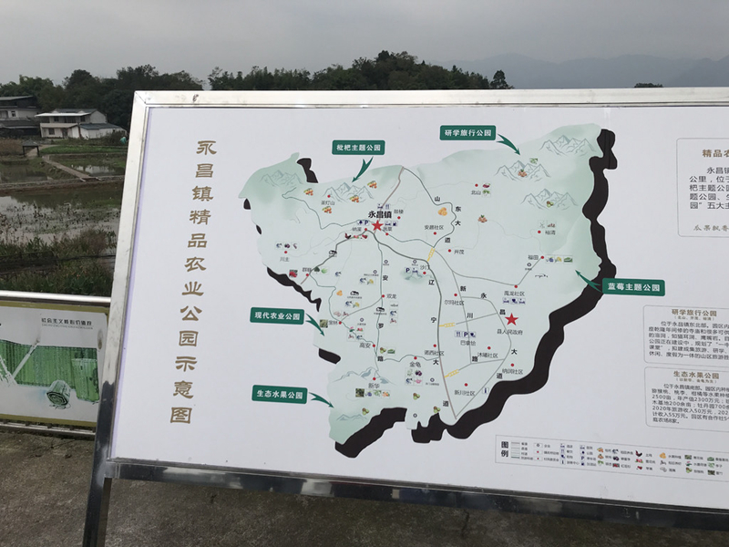 永昌镇：让农民在公园里奔小康