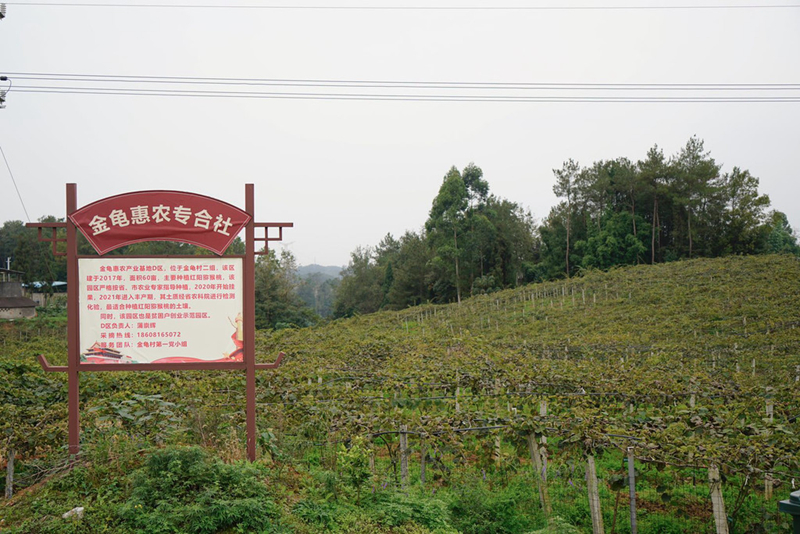 永昌镇：让农民在公园里奔小康