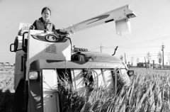 建设高质量教育体系