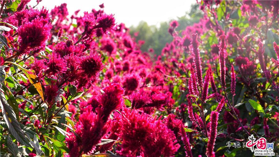 广西上林：养心赏景霞客行乘船畅游