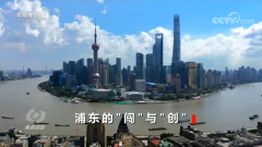 三十而立！带你了解“90后”浦东的奋斗史