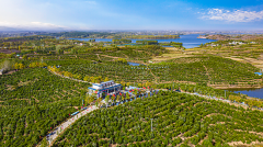 我国油茶种植面积达6800万亩总产值超千亿