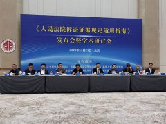 《人民法院诉讼证据规定适用指南》发布