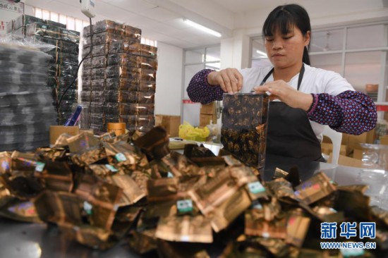 “秃头山”里种出“生态茶”