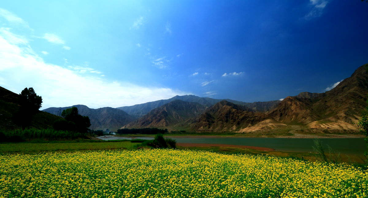 石羊河流域:走出高质量节水发展新路