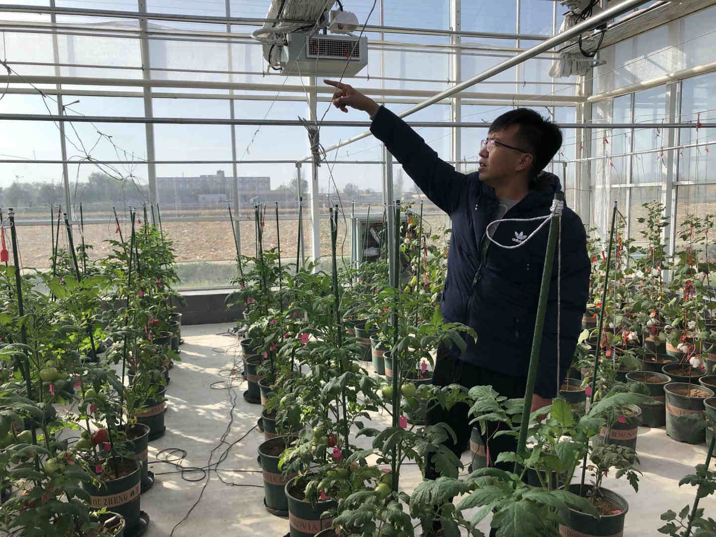 石羊河流域:走出高质量节水发展新路