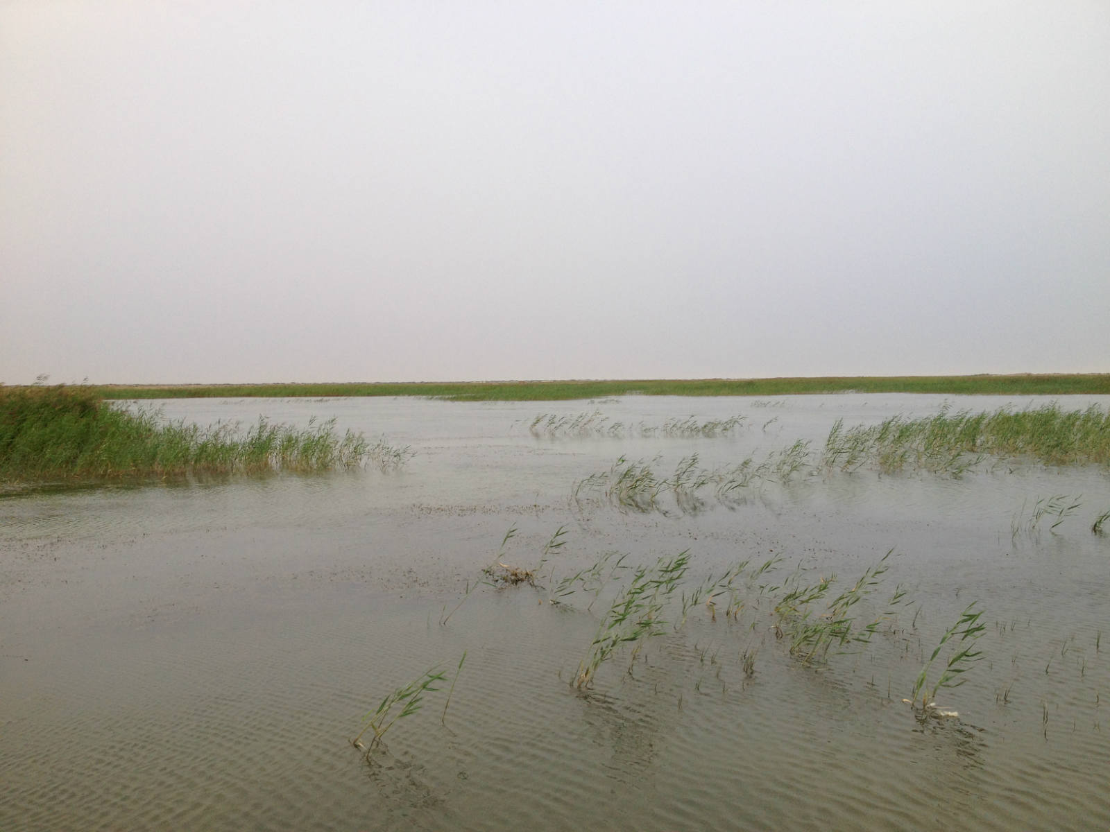 石羊河流域:走出高质量节水发展新路