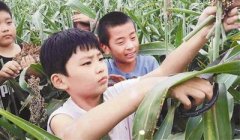 让梦想在这里启航