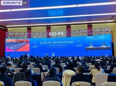 2020中新金融峰会在重庆开幕丨深化金融互联互通 共建共享陆海新通道