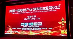 核桃产业升级突围，打破常规创新发展