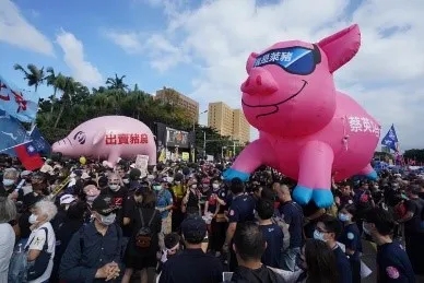 【外媒深一度】这头“猪”，把台湾搅翻了天