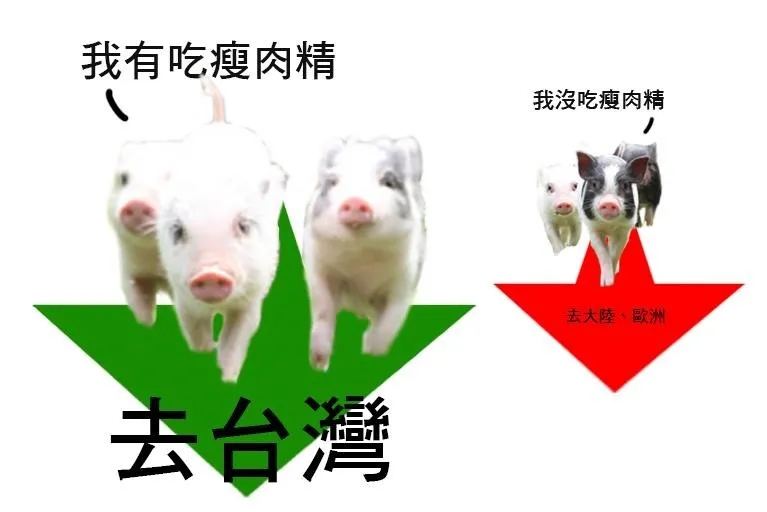 【外媒深一度】这头“猪”，把台湾搅翻了天