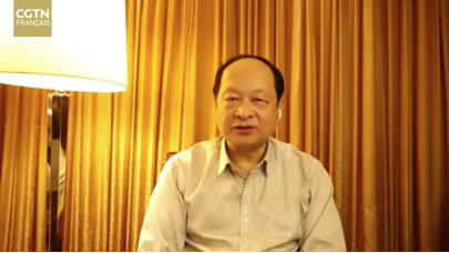 中欧专家：双方经济互补性大于竞争性 对中国市场发展充满信心