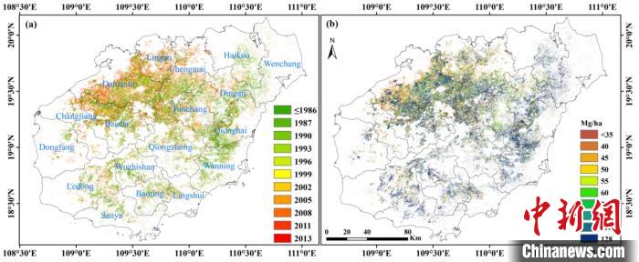 中国热科院估算海南岛橡胶林合计碳储量为2700万吨
