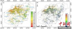 中国热科院估算海南岛橡胶林合计碳储量为2700万吨