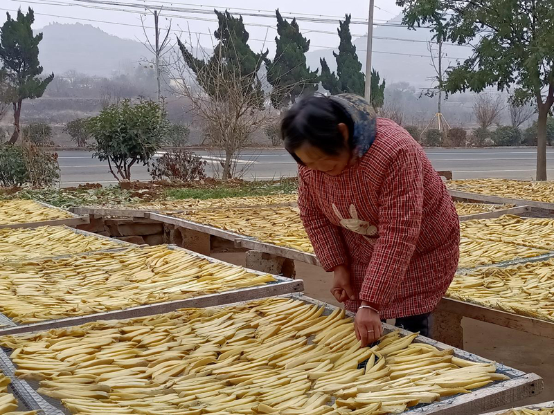 让“地标”映红农民的脸 ——山东省地理标志农产品发展培育采访纪实