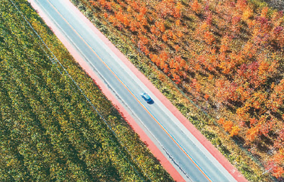 东海公路成生态走廊