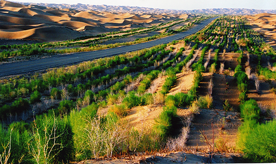 国家林草局:“十三五”期间完成防沙治沙任务超千万公顷