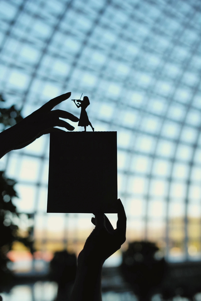 双十二，尽情“撕”一场