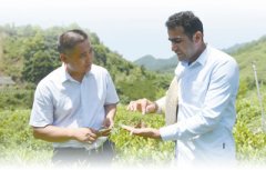 田间地头，感受中国减贫实践（国际人士见证中国决战脱贫攻坚）