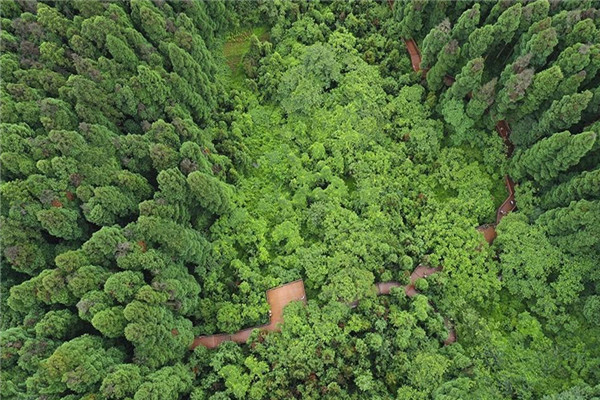 七里坪:群山抱明珠 山水画卷打造禅意盛境