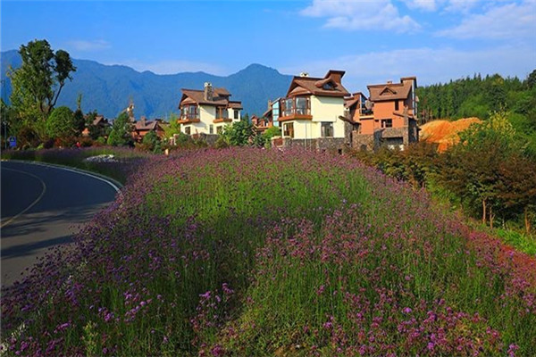 七里坪:群山抱明珠 山水画卷打造禅意盛境