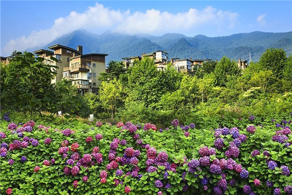 七里坪:群山抱明珠 山水画卷打造禅意盛境