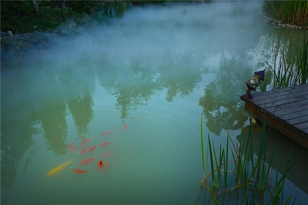 七里坪:群山抱明珠 山水画卷打造禅意盛境