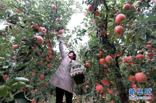 河北井陉:绿色回归幸福“提速”