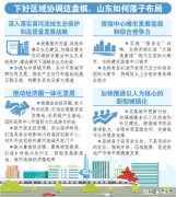 区域协调发展，昂起山东半岛城市群龙头