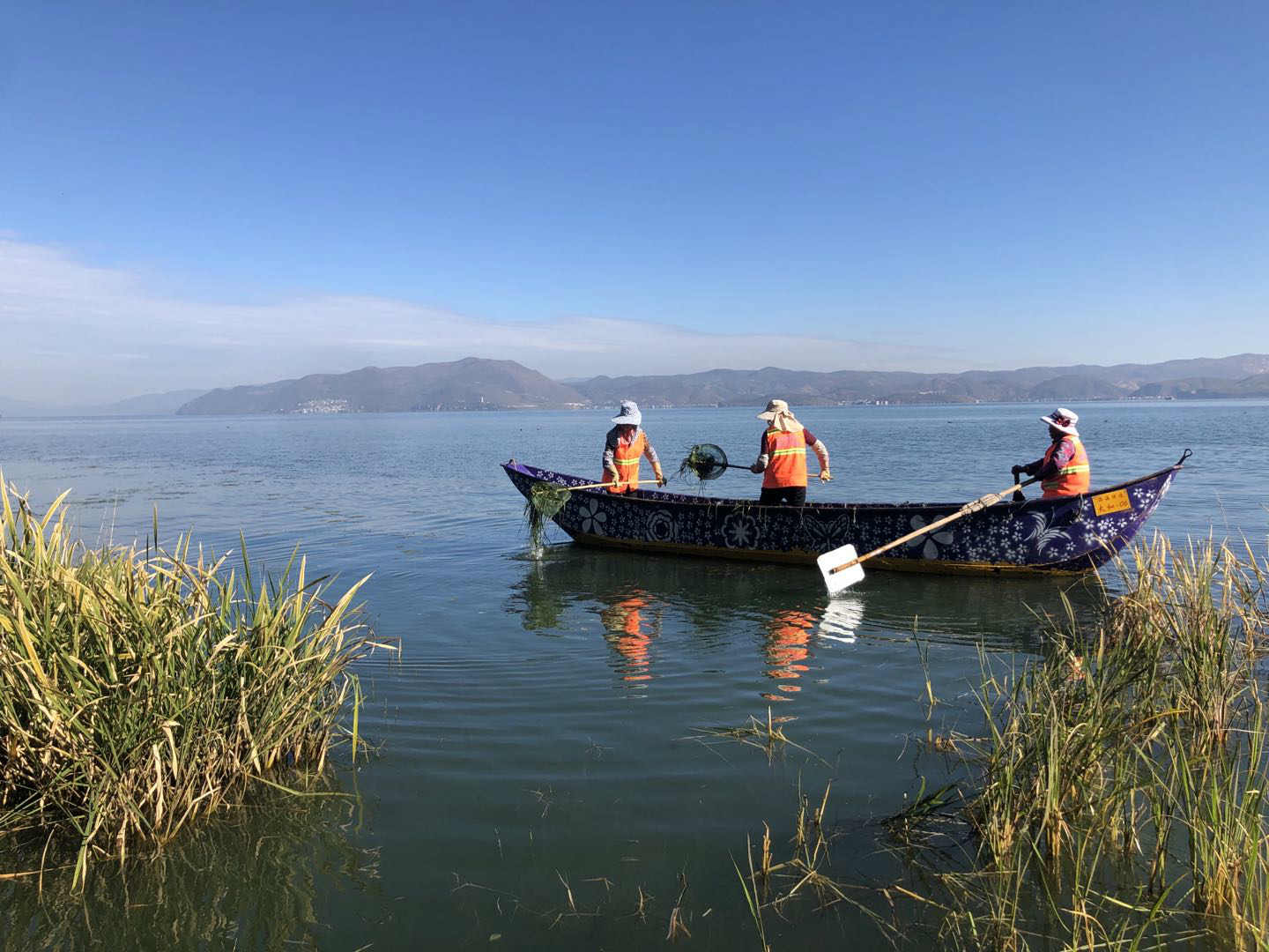 云南:筑牢生态安全屏障促进人与自然和谐共生