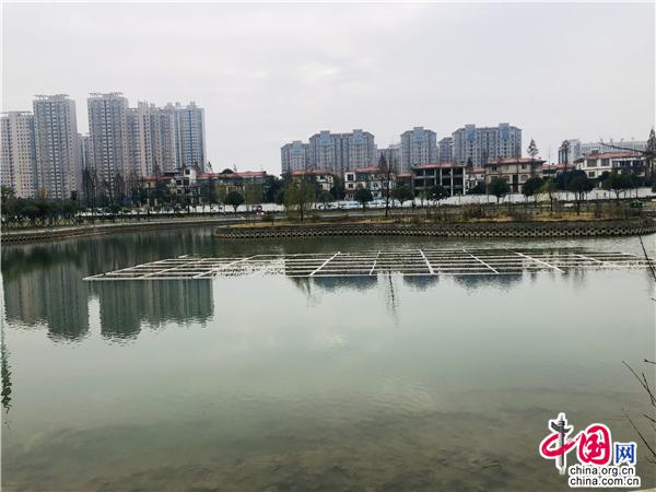 湖南益阳：绿水青山相辉映 百姓生活笑开颜