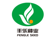 种子营收占比较小，三连板丰乐种业提示投资风险