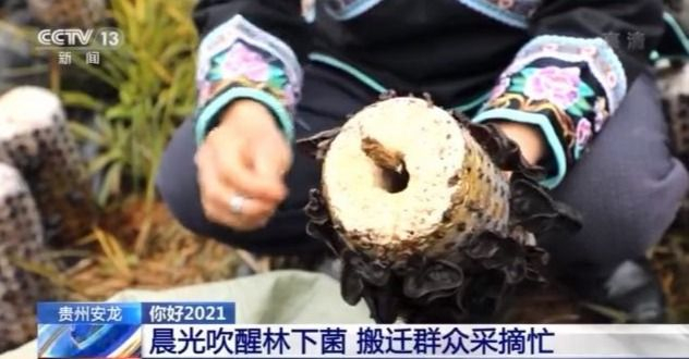 你好2021 新年第一天 看全国各地崭新气象