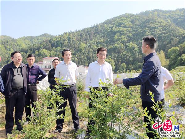 湖南:以高质量党建为抓手 引领生态环境新发展