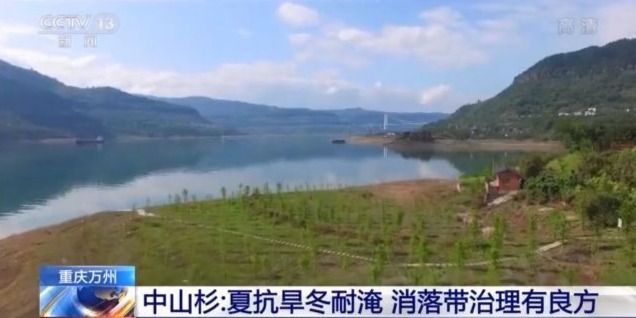 人与青山两不负：探访重庆“水中森林”岸上人家