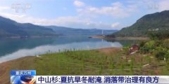 人与青山两不负：探访重庆“水中森林”岸上人家