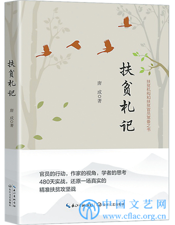 扶贫小说：不同视角下的时代主题书写