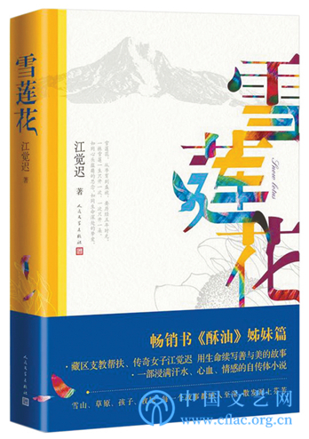 扶贫小说：不同视角下的时代主题书写